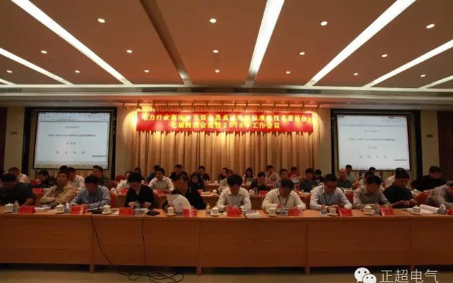 電力行業(yè)高壓開關(guān)設(shè)備及直流電源標(biāo)準(zhǔn)化技術(shù)委員會七屆四次會議暨2016年工作會議在汕頭召開
